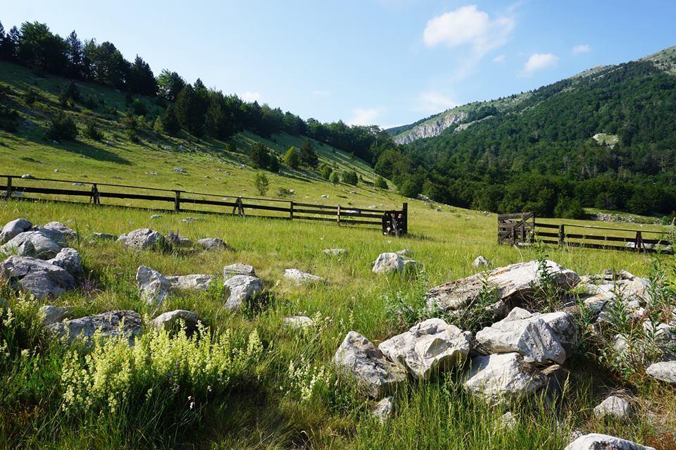 Mountain House Varda Ledenice エクステリア 写真